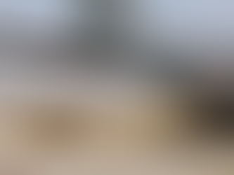 Regresan mexicanos que ayudaron a combatir incendios en Los Ángeles, California