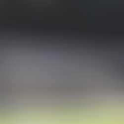 UEFA multa al Real Madrid por comportamiento racista de aficionado