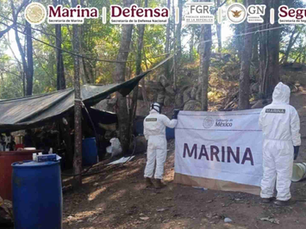 Decomisan 300 kilos de metanfetamina en el estado de Guerrero