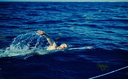 David Olvera impone récord en México al nadar 85 km en mar abierto