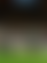 Jornada 17 del Clausura 2026 de la Liga MX: Pumas UNAM se queda con el liderato general