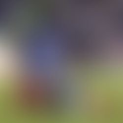 Chivas y Cruz Azul avanzan a semifinales del Clausura 2026
