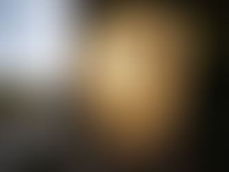 Warner pedirá a sus accionistas que no acepten propuesta de compra de Paramount, según WSJ