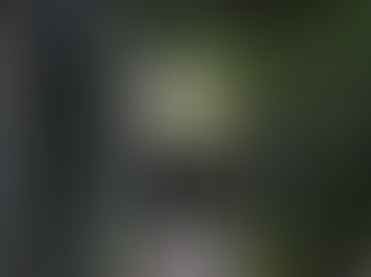 Bukele augura que tasa de homicidios será inferior a uno durante 2025 en El Salvador