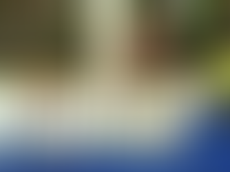 “Libros de texto no son patrimonio de una persona”: Sheinbaum tras salida de Marx Arriaga de la SEP