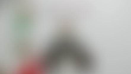 Informa el Gabinete de Seguridad federal sobre acciones relevantes