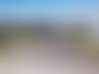 “COMPAS tendrá que tomar la decisión”: hay 9 empresas interesadas en comprar, señala Tere Jiménez