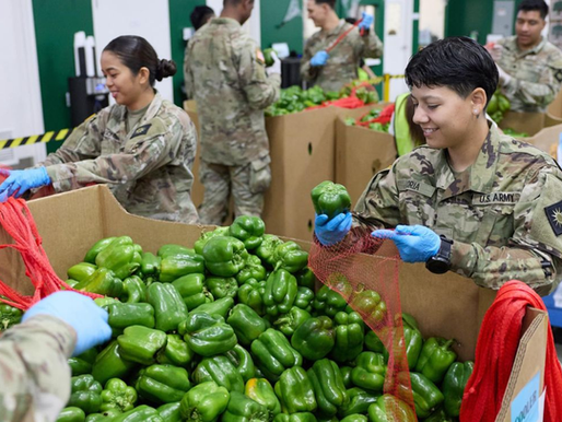 Gobierno de EE.UU. podría reactivar subsidios para alimentos esta semana