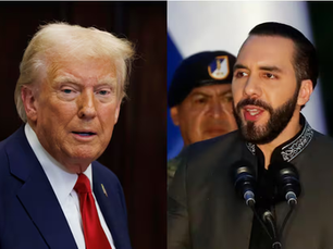 Nayib Bukele presume su relación con Donald Trump: “Presidente, ¡adelante juntos!”