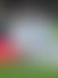 Italia no pierde la esperanza de estar en el Mundial 2026 ante un eventual retiro de Irán