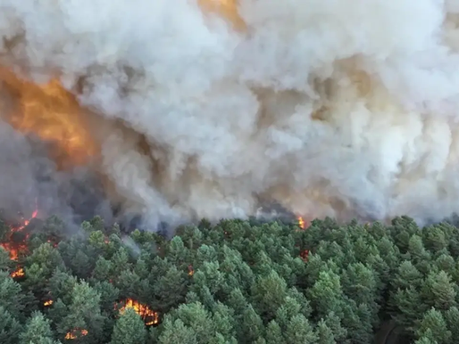 Decenas de miles de personas huyen de los incendios en Francia