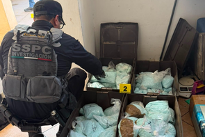 Golpe a Los Rusos en Baja California: Aseguran 120 kilos de pastillas de fentanilo