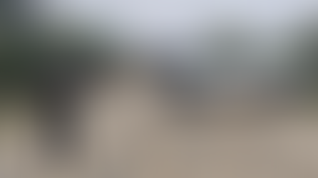 Autoridades abaten a 6 presuntos criminales en Nuevo León