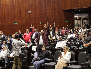 Diputados aprueban anular elecciones por intervención extranjera