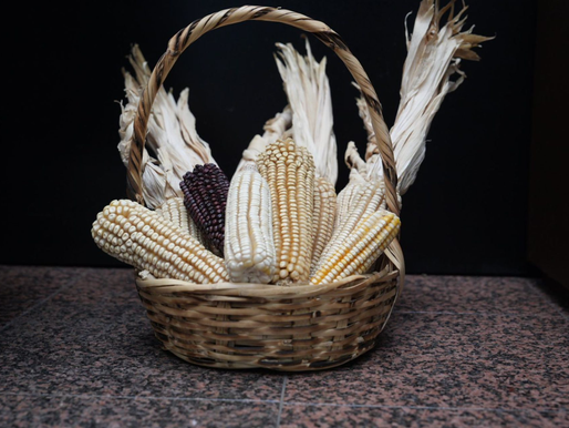 México anuncia más de 83 mil mdp para alcanzar la soberanía alimentaria