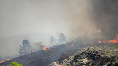 Incendio al sureste de España deja 12 muertos y 23 desaparecidos