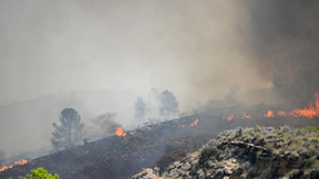 Incendio al sureste de España deja 12 muertos y 23 desaparecidos