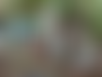 Inhabilitan 13 áreas de concentración de químicos y un laboratorio clandestino en Sinaloa