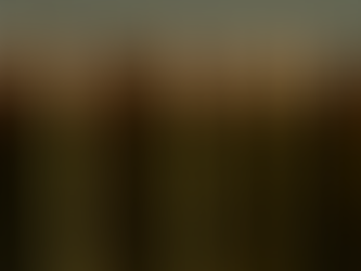 Enfrentamiento en Chiapas deja saldo de dos muertos y siete heridos