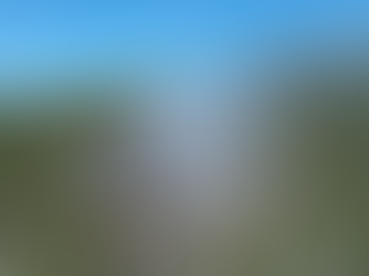 Sigue combate a incendio en cerro del Topo Chico en NL