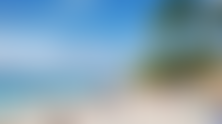 David Collado: “El mes de marzo cerrará por encima del 12% en la llegada de visitantes”