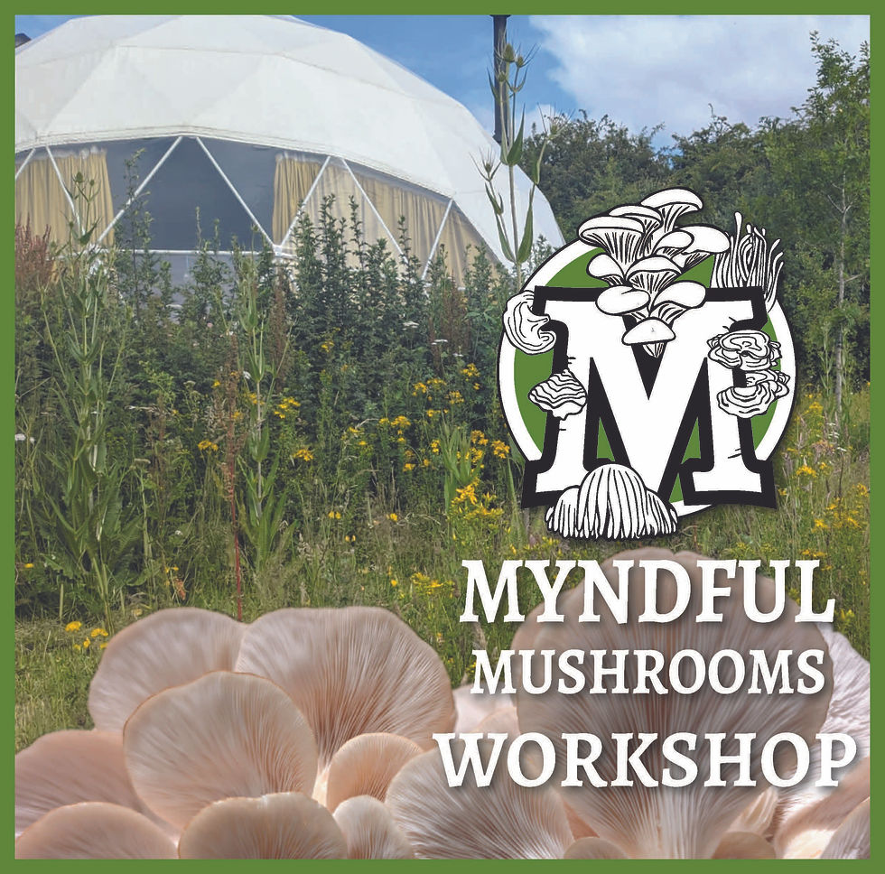 Low-Tech Grow Your Own Mushrooms Workshop at Jolly Moon