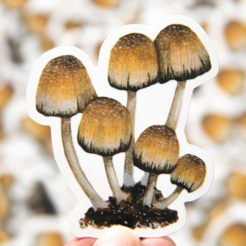 Thumbnail: WOODLAND FUNGI STICKERS (5 awesome vinyl stickers!)