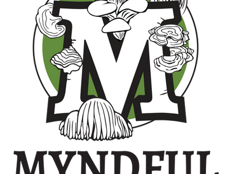 Join the Autumn Mushroom Foray in Hampshire