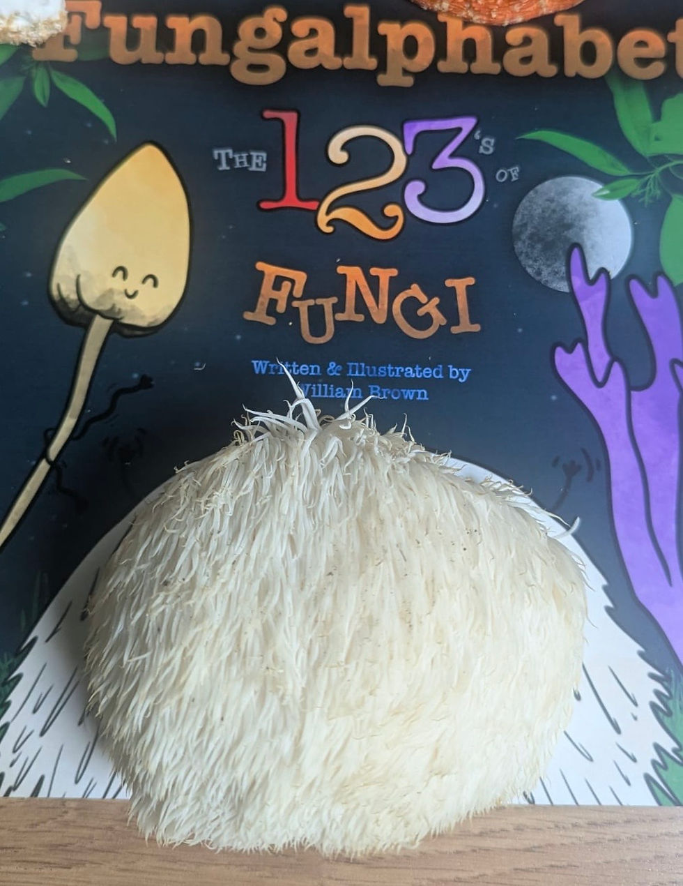 Thumbnail: FUNGALPHABET: THE123'S OF FUNGI