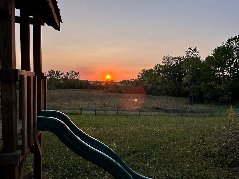Sunset over the fields