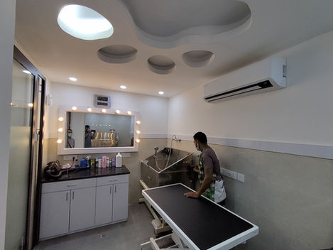 uday park grooming