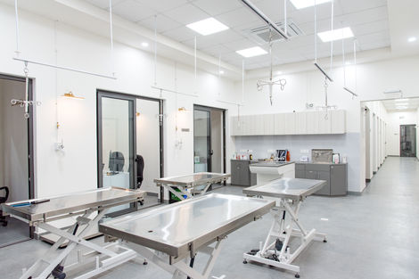 animal hospital treatment area