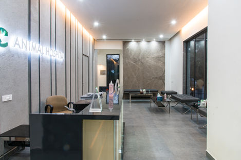 animal hospital reception