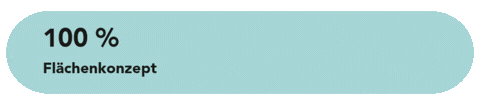 100-50_Flächenkonzept (480 x 108 px).gif
