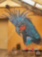 Palm Cockatoo