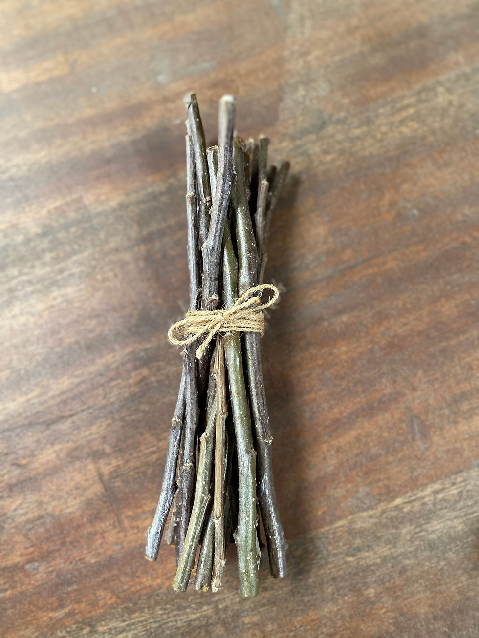 Thumbnail: UK Grown Organic Apple Twig Bundle 100g