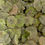 Thumbnail: 500g Pea Flakes