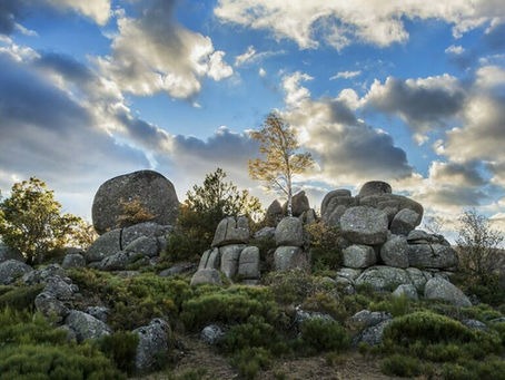 Week-end du 21 au 23 Novembre