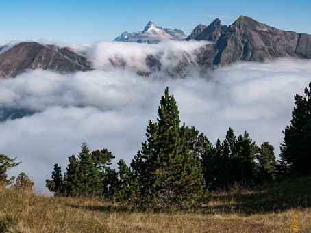 Weekend du 8 et 9 Juin Bivouac