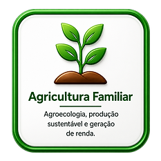 Design sem nome (24).png