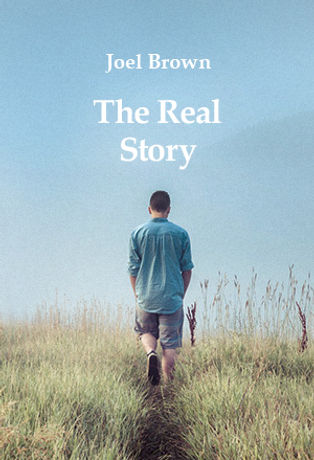 Novel