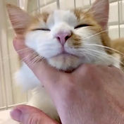 IMG_6156 2_edited.jpg