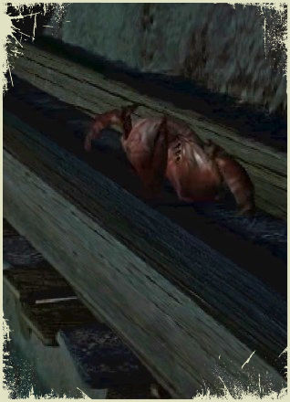 Arachnocid, Alone in the Dark 4, Alone in the Dark the new nightmare, Alone in the Dark IV, Aitd4, Aitd TNN, Creature, Shadow Island, Manor, Maniero, Manoir, Carnby, Aline, monster, mostro, nemico, enemy, DrakarAnni, aracnide, ragno, spider, image, png