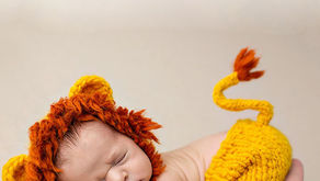 O pequeno simba que se torna o Rei Leão em pouco tempo lá em casa!