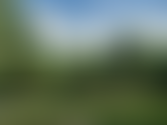 The view from our huge site at Balsam Lake