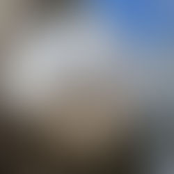 Robert Johnston Eco Forest Trails - February 2022