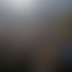 Morton Family Trail - Peterborough