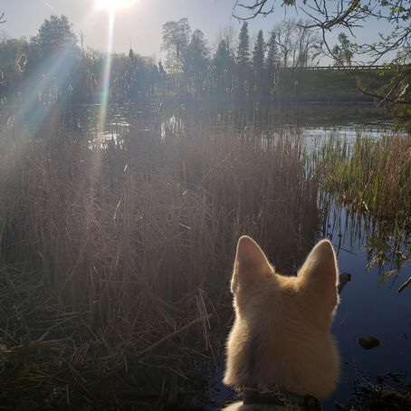 Morton Family Trail - Peterborough