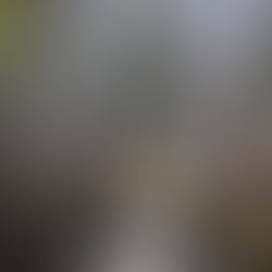 Presquile Provincial Park Pioneer and Newcastle Trail