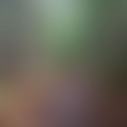 August 28th - Mew Lake Algonquin Provincial Park.